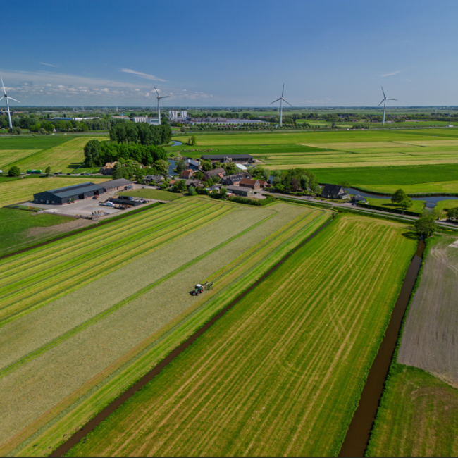 Landschap